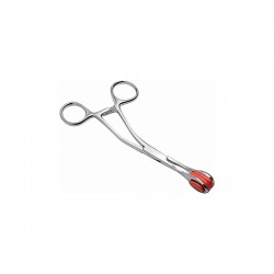 ISABELLA SINCLAIRE FORCEPS...